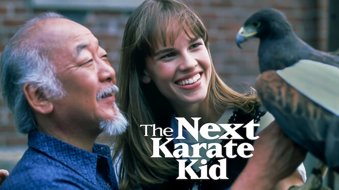 karate kid series netflix