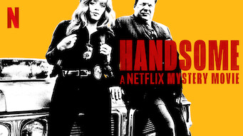 Handsome: A Netflix Mystery Movie (2017)