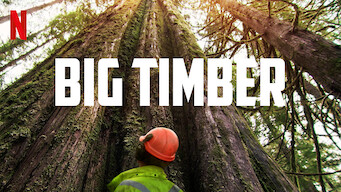 Big Timber (2021)