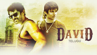 David (Telugu) (2013)