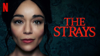 The Strays (2023)