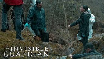 The Invisible Guardian (2017)