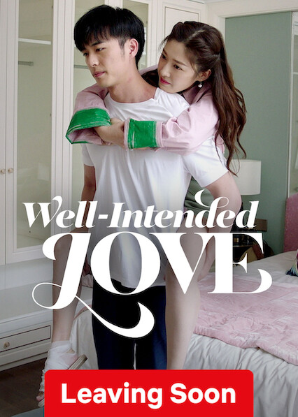 Well-Intended Love on Netflix USA