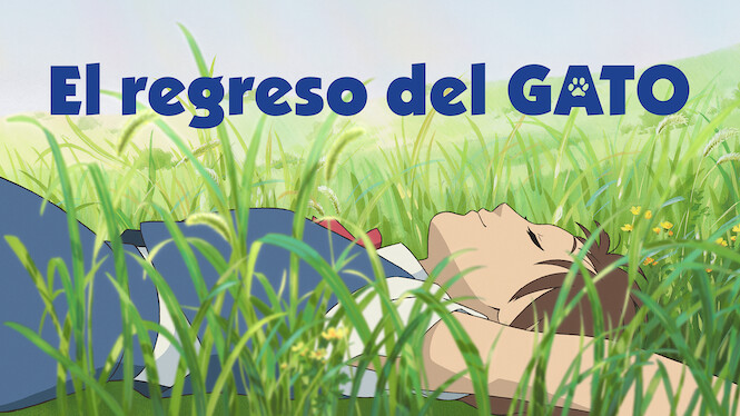 El regreso del gato